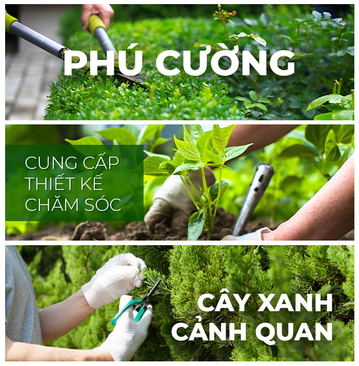 CÔNG TY TNHH DỊCH VỤ VÀ KỸ THUẬT PHÚ CƯỜNG